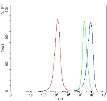 Flow cytometry testing of fixed and permeabilized human JK cells with Snurportin 1 antibody at 1ug/million cells (blocked with goat sera); Red=cells alone, Green=isotype control, Blue= Snurportin 1 antibody.