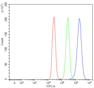 SNX9 Antibody Human Breast Cancer Cell FACS. Flow cytometry testing of human MCF7 cells with SNX9 Antibody at 1 ug/million cells. Cells were blocked with goat serum prior to incubation with the primary antibody. Red histogram represents cells alone, green represents isotype control and blue represents SNX9 antibody staining. SNX9 Antibody, an endocytic trafficking protein marker, demonstrates positive detection of Sorting Nexin 9 expression in MCF7 cells and supports analysis of membrane remodeling, vesicle transport and intracellular trafficking pathways.