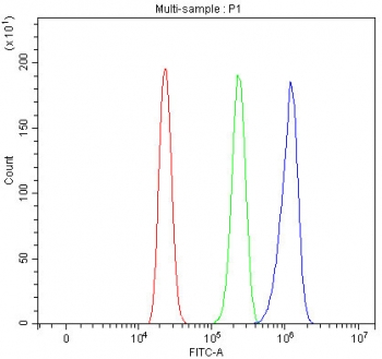 Flow cytometry testing of human HL60 cells with RETREG1 antibody at 1ug/million cells (blocked with goat sera); Red=cells alone, Green=isotype control, Blue= RETREG1 antibody.