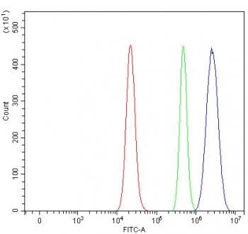 Flow cytometry testing of human RT4 cells with EZH1 antibody at 1ug/million cells (blocked with goat sera); Red=cells alone, Green=isotype control, Blue= EZH1 antibody.