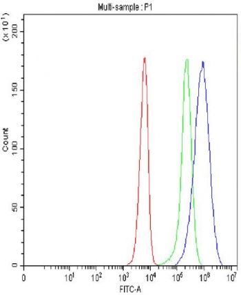 Flow cytometry testing of fixed and permeabilized human SiHa cells with RBM25 antibody at 1ug/million cells (blocked with goat sera); Red=cells alone, Green=isotype control, Blue= RBM25 antibody.