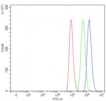 Flow cytometry testing of human A549 cells with SHQ1 antibody at 1ug/million cells (blocked with goat sera); Red=cells alone, Green=isotype control, Blue= SHQ1 antibody.