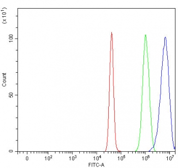 Flow cytometry testing of human U-251 cells with RFC2 antibody at 1ug/million cells (blocked with goat sera); Red=cells alone, Green=isotype control, Blue= RFC2 antibody.
