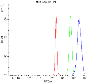 Flow cytometry analysis of fixed and permeabilized human HepG2 cells with PKP2 antibody at 1ug/million cells (blocked with goat sera); Red=cells alone, Green=isotype control, Blue= PKP2 antibody.