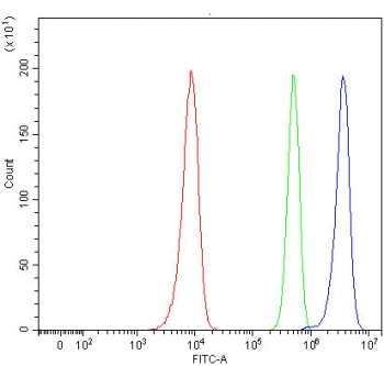 Flow cytometry testing of human HeLa cells with hnRNP E2 antibody at 1ug/million cells (blocked with goat sera); Red=cells alone, Green=isotype control, Blue= hnRNP E2 antibody.