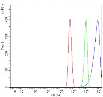 Flow cytometry testing of human U-87 MG cells with TMEM50B antibody at 1ug/million cells (blocked with goat sera); Red=cells alone, Green=isotype control, Blue= TMEM50B antibody.