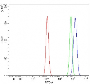 Flow cytometry testing of human HEL cells with RNF34 antibody at 1ug/million cells (blocked with goat sera); Red=cells alone, Green=isotype control, Blue= RNF34 antibody.
