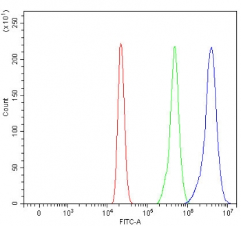 Myeloperoxidase Antibody for FACS / MPO Flow Cytometry Antibody. Flow cytometry analysis of human HL60 cells using Myeloperoxidase Antibody for FACS at 1 ug per million cells following blocking with goat serum. A clear rightward fluorescence shift of the antibody-stained population (blue) relative to the isotype control (green) and unstained cells (red) demonstrates specific intracellular detection of Myeloperoxidase / MPO by flow cytometry.