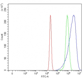 Flow cytometry testing of human U-2 OS cells with HBBM antibody at 1ug/million cells (blocked with goat sera); Red=cells alone, Green=isotype control, Blue= HBBM antibody.