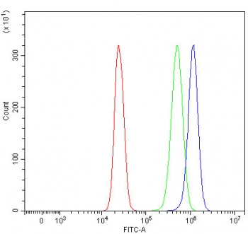 Flow cytometry testing of human HepG2 cells with RPN1 antibody at 1ug/million cells (blocked with goat sera); Red=cells alone, Green=isotype control, Blue= RPN1 antibody.