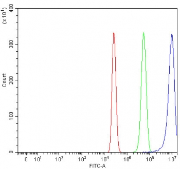 Flow cytometry testing of human HepG2 cells with RPS14 antibody at 1ug/million cells (blocked with goat sera); Red=cells alone, Green=isotype control, Blue= RPS14 antibody.