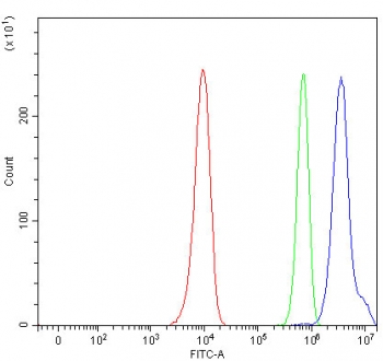 Flow cytometry testing of human HeLa cells with NNP1 antibody at 1ug/million cells (blocked with goat sera); Red=cells alone, Green=isotype control, Blue= NNP1 antibody.