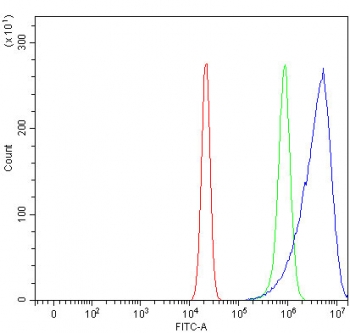 Flow cytometry testing of human U-2 OS cells with Tropomodulin 2 antibody at 1ug/million cells (blocked with goat sera); Red=cells alone, Green=isotype control, Blue= Tropomodulin 2 antibody.