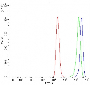 Flow cytometry testing of human ThP-1 cells with RUFY4 antibody at 1ug/million cells (blocked with goat sera); Red=cells alone, Green=isotype control, Blue= RUFY4 antibody.