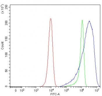 Flow cytometry testing of human HeLa cells with PACSIN2 antibody at 1ug/million cells (blocked with goat sera); Red=cells alone, Green=isotype control, Blue= PACSIN2 antibody.