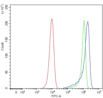 Flow cytometry testing of human HeLa cells with PITPNB antibody at 1ug/million cells (blocked with goat sera); Red=cells alone, Green=isotype control, Blue= PITPNB antibody.