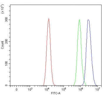 Flow cytometry testing of human HEL cells with OPLAH antibody at 1ug/million cells (blocked with goat sera); Red=cells alone, Green=isotype control, Blue= OPLAH antibody.