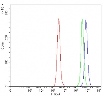Flow cytometry testing of fixed and permeabilized human Daudi cells with ONECUT1 antibody at 1ug/million cells (blocked with goat sera); Red=cells alone, Green=isotype control, Blue= ONECUT1 antibody.