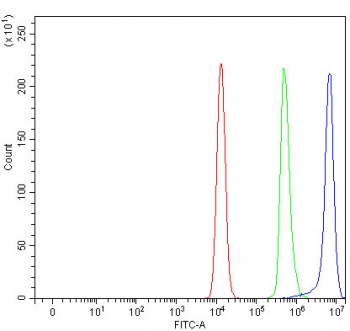 ORP9 Antibody FACS. Flow cytometry testing of human Raji cells with ORP9 antibody at 1ug/million cells (blocked with goat sera); Red=cells alone, Green=isotype control, Blue= ORP9 antibody.