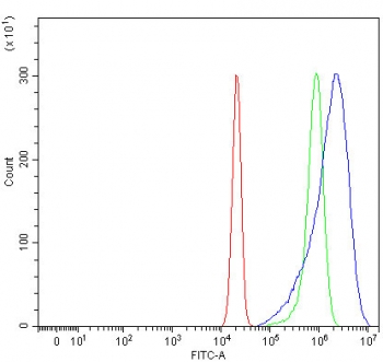 Flow cytometry testing of human U-2 OS cells with OSTF1 antibody at 1ug/million cells (blocked with goat sera); Red=cells alone, Green=isotype control, Blue= OSTF1 antibody.