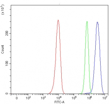 Flow cytometry testing of human HeLa cells with RPRD1B antibody at 1ug/million cells (blocked with goat sera); Red=cells alone, Green=isotype control, Blue= RPRD1B antibody.