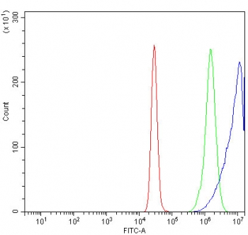 Flow cytometry testing of human K562 cells with ATIC antibody at 1ug/million cells (blocked with goat sera); Red=cells alone, Green=isotype control, Blue= ATIC antibody.