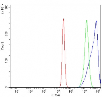 Flow cytometry testing of human K562 cells with KIF2A antibody at 1ug/million cells (blocked with goat sera); Red=cells alone, Green=isotype control, Blue= KIF2A antibody.