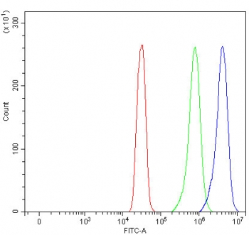PNPLA6 Antibody for FACS. Flow cytometry analysis in human SiHa cells. Fixed and permeabilized human SiHa cells were stained with PNPLA6 antibody at 1 ug per million cells following blocking with goat sera. Red histogram represents unstained cells, green indicates isotype control, and blue shows PNPLA6 antibody staining with a clear rightward shift, demonstrating specific detection of Patatin-like phospholipase domain-containing protein 6 / PNPLA6. This result supports intracellular expression of PNPLA6 consistent with its role in phospholipid metabolism and neuronal-associated signaling pathways.