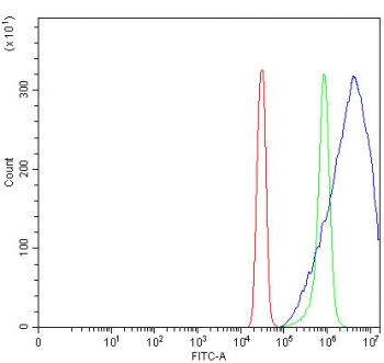 Flow cytometry testing of fixed and permeabilized human SiHa cells with Glucosidase 2 subunit beta antibody at 1ug/million cells (blocked with goat sera); Red=cells alone, Green=isotype control, Blue= Glucosidase 2 subunit beta antibody.
