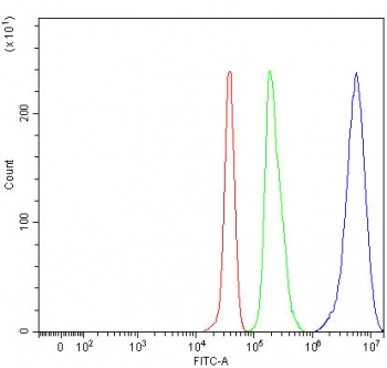 CD3 Gamma Antibody Human JK FACS. Flow cytometric analysis of fixed and permeabilized human JK cells using CD3 gamma antibody at 1 ug/10^6 cells following blocking with goat sera. Red: cells alone. Green: isotype control. Blue: CD3 gamma antibody. The CD3 gamma antibody produces a pronounced rightward shift in fluorescence intensity relative to the isotype control, demonstrating specific detection of this T-cell receptor complex protein involved in antigen recognition and T-cell activation.
