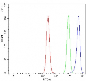 Flow cytometry testing of fixed and permeabilized human MCF7 cells with Protein phosphatase 1G antibody at 1ug/million cells (blocked with goat sera); Red=cells alone, Green=isotype control, Blue= Protein phosphatase 1G antibody.