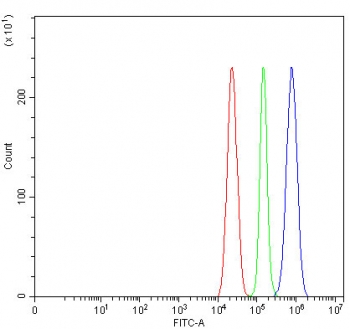 Flow cytometry testing of fixed and permeabilized rat C6 cells with B-cell lymphoma/leukemia 11B antibody at 1ug/million cells (blocked with goat sera); Red=cells alone, Green=isotype control, Blue= B-cell lymphoma/leukemia 11B antibody.
