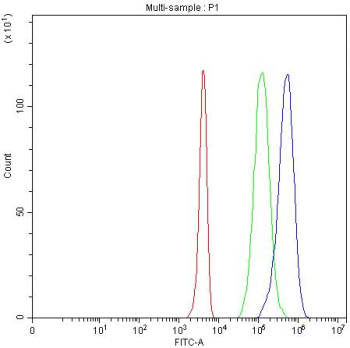 Flow cytometry testing of fixed and permeabilized human 293T cells with OTT1 antibody at 1ug/million cells (blocked with goat sera); Red=cells alone, Green=isotype control, Blue= OTT1 antibody.