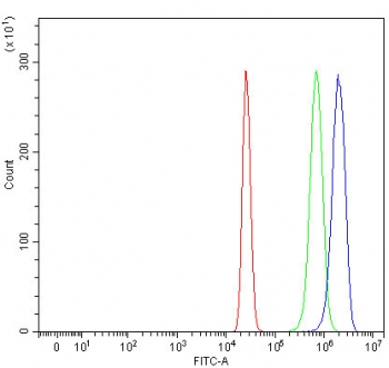 Flow cytometry testing of fixed and permeabilized human HepG2 cells with OSBPL10 antibody at 1ug/million cells (blocked with goat sera); Red=cells alone, Green=isotype control, Blue= OSBPL10 antibody.