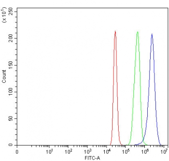 Flow cytometry testing of fixed and permeabilized human 293T cells with RAB39A/B antibody at 1ug/million cells (blocked with goat sera); Red=cells alone, Green=isotype control, Blue= RAB39A/B antibody.