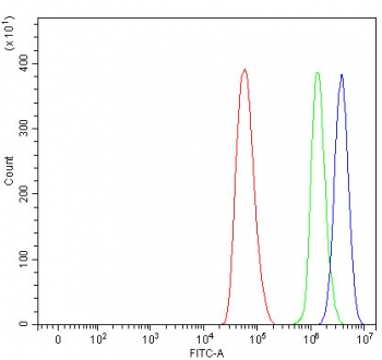 Flow cytometry testing of fixed and permeabilized human HeLa cells with RPB5 antibody at 1ug/million cells (blocked with goat sera); Red=cells alone, Green=isotype control, Blue= RPB5 antibody.