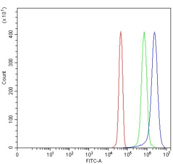 PSME1 Antibody U937 Cell Flow Cytometry. Flow cytometric analysis of fixed and permeabilized human U937 cells stained with PSME1 antibody at 1 ug per million cells following goat serum blocking. Red: cells alone. Green: isotype control. Blue: PSME1 antibody. The clear rightward shift of the PSME1 antibody histogram relative to the isotype control demonstrates specific intracellular detection of this immunoproteasome activator, which plays a central role in proteasome-mediated antigen processing and Major Histocompatibility Complex class I peptide presentation.