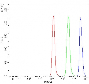 Flow cytometry testing of fixed and permeabilized human Raji cells with RFC4 antibody at 1ug/million cells (blocked with goat sera); Red=cells alone, Green=isotype control, Blue= RFC4 antibody.