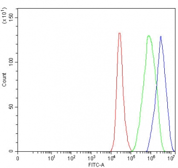 Flow cytometry testing of fixed and permeabilized human 293T cells with NELFE antibody at 1ug/million cells (blocked with goat sera); Red=cells alone, Green=isotype control, Blue= NELFE antibody.