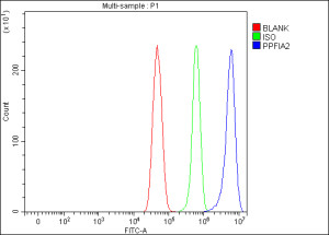 Flow cytometry testing of fixed and permeabilized human U-251 cells with Liprin alpha 2 antibody at 1ug/million cells (blocked with goat sera); Red=cells alone, Green=isotype control, Blue= Liprin alpha 2 antibody.