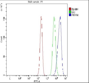 Flow cytometry testing of fixed and permeabilized human SiHa cells with PRPF4 antibody at 1ug/million cells (blocked with goat sera); Red=cells alone, Green=isotype control, Blue= PRPF4 antibody.
