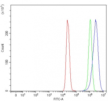 Flow cytometry testing of fixed and permeabilized human MCF7 cells with PSMD6 antibody at 1ug/million cells (blocked with goat sera); Red=cells alone, Green=isotype control, Blue= PSMD6 antibody.