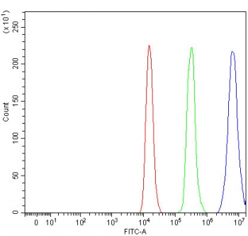 Flow cytometry testing of fixed and permeabilized human Raji cells with SAM68 antibody at 1ug/million cells (blocked with goat sera); Red=cells alone, Green=isotype control, Blue= SAM68 antibody.