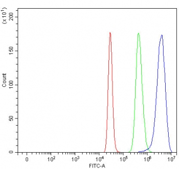 Flow cytometry testing of fixed and permeabilized human 293T cells with NCAPH antibody at 1ug/million cells (blocked with goat sera); Red=cells alone, Green=isotype control, Blue= NCAPH antibody.