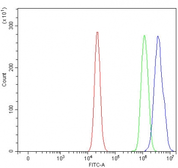 Flow cytometry testing of fixed and permeabilized human RT4 cells with TTC9 antibody at 1ug/million cells (blocked with goat sera); Red=cells alone, Green=isotype control, Blue= TTC9 antibody.
