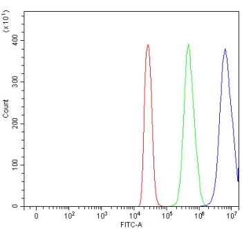 Flow cytometry testing of fixed and permeabilized human 293T cells with Cyp60 antibody at 1ug/million cells (blocked with goat sera); Red=cells alone, Green=isotype control, Blue= Cyp60 antibody.