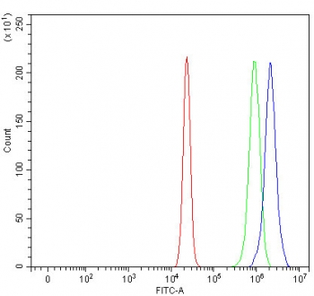 Flow cytometry testing of fixed and permeabilized human U937 cells with SIX4 antibody at 1ug/million cells (blocked with goat sera); Red=cells alone, Green=isotype control, Blue= SIX4 antibody.