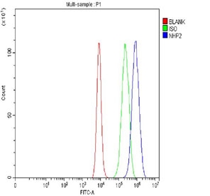 Flow cytometry testing of fixed and permeabilized human Caco-2 cells with NHP2 antibody at 1ug/million cells (blocked with goat sera); Red=cells alone, Green=isotype control, Blue= NHP2 antibody.