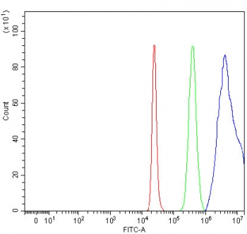 Flow cytometry testing of fixed and permeabilized human 293T cells with PYROXD1 antibody at 1ug/million cells (blocked with goat sera); Red=cells alone, Green=isotype control, Blue= PYROXD1 antibody.