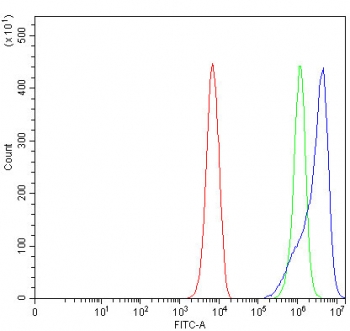 C7orf47 Antibody K562 Cell FACS. Flow cytometry analysis of fixed and permeabilized human K562 cells using C7orf47 Antibody (PPP1R35 antibody) shows a clear rightward shift of the blue histogram relative to the isotype control (green) and unstained cells (red), indicating detection of PPP1R35 / C7orf47 expression. The intracellular signal distribution supports specific antibody binding to this protein phosphatase regulatory factor involved in phosphorylation-dependent cellular processes.